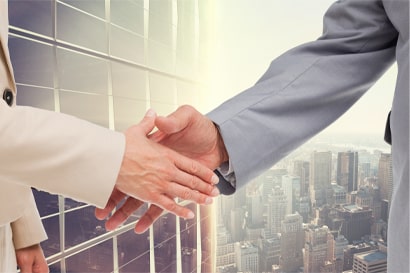 NBFCS / PRIMARY DEALERS